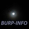 burpinfo
