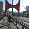 aliz23_