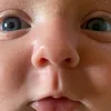 gos_qoo