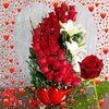 user097491934
