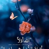 ahmedshoubra3