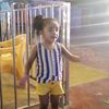 tota.wael80