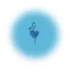 lily.h1_