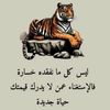 user721889830509