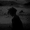 lirusxn23