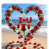 healal10