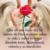 sandra_garcia7640