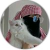 ahmed212j