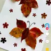 moon.xinh43