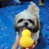 wan_wan3833
