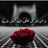 amalibrahim618