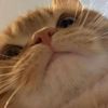 hi3513