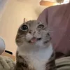 jnrcve