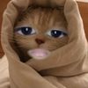 urfavvluve_mealika7