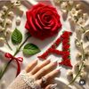 shahistaarshad0