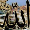 ferdousrahman245