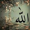 dy7t7rarwwpg
