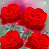 user8404290147265