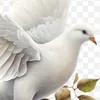 lettherebepeace5