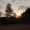 wisz_03