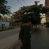 moza_eldsouky