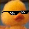 𝐀𝐋 𝐓𝐈𝐊𝐓𝐎𝐊