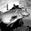bigfishing6666