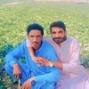janikahanlashari1