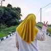 ni.sulawt