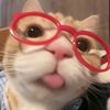 esil_93