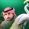 hamidkhan0o