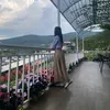 xuxu_id