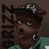 omgjasbear