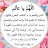 amal.magdy.elarab