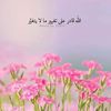 shohandamohammed8