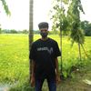 mdnirod024