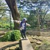 indah_fhy