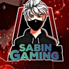 sabin_gaming_