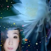 www.tiktok.co.mihobu