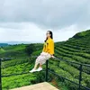 nhanhoang1010