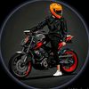 mtsheikh500