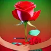 user5856280818020