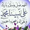nouramohamed12355
