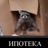 cergei_2984747