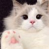 hi_itsme_503