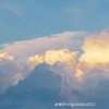 vuaeggcat2