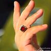 muhammad._abdullah_.301