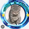 mirellaraso398rispettof1