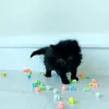 wwwnvan