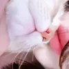 2kg_a